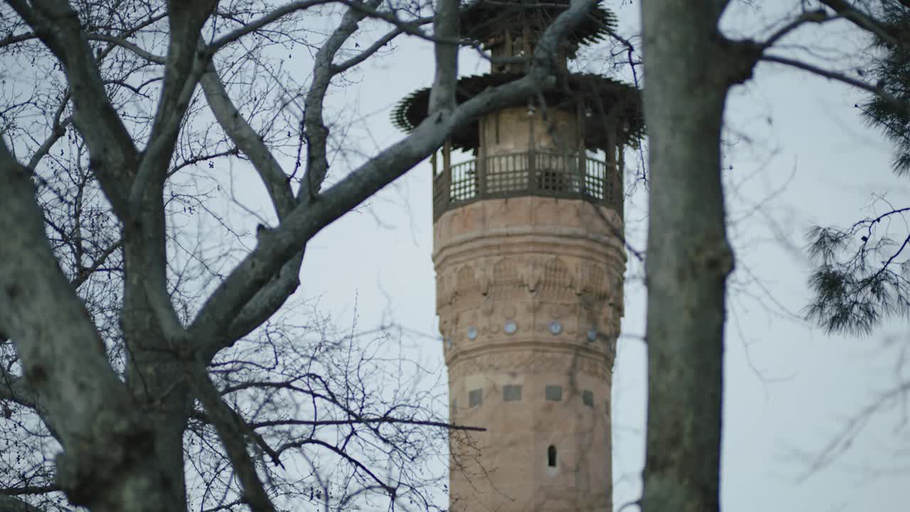 ramas secas de árboles y techo de madera minarete de la mezquita