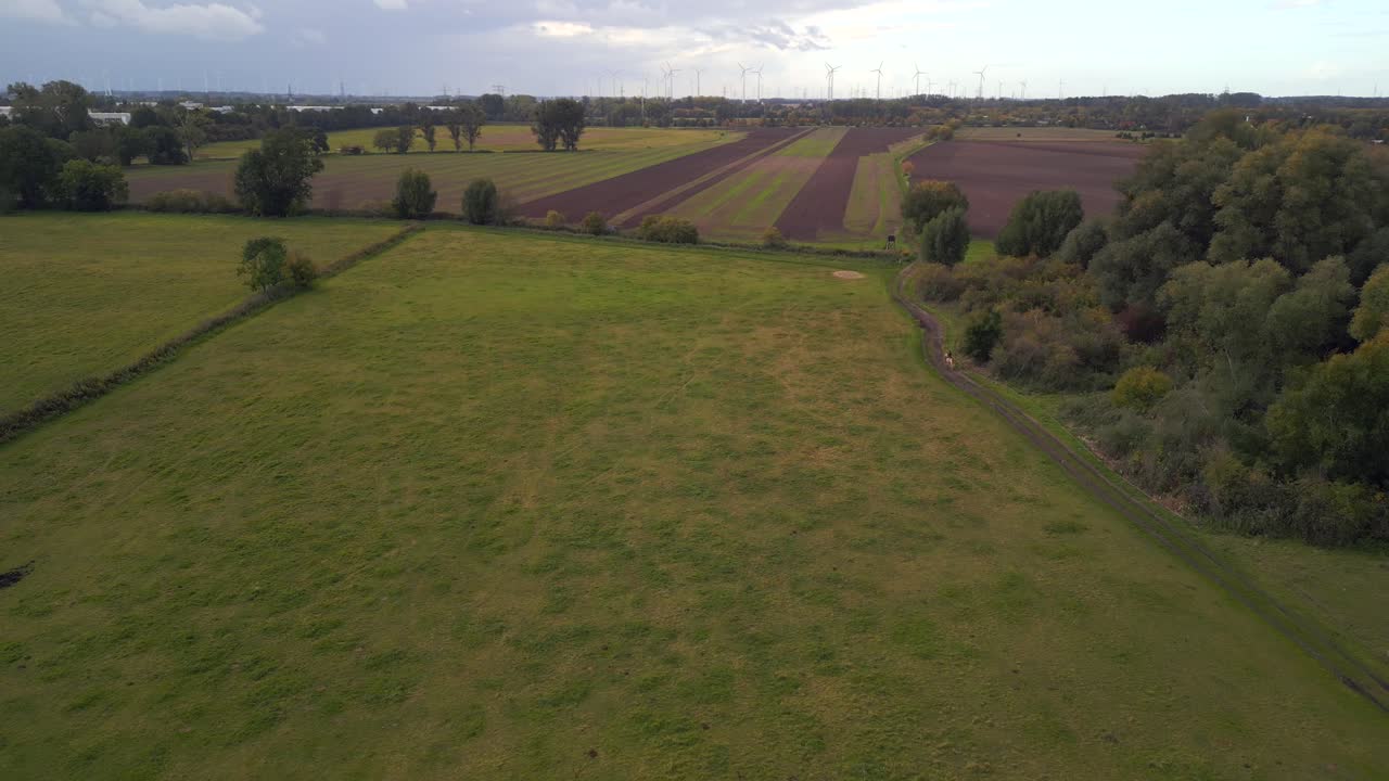 jinete solo caballo gris solitario en pasto verde
