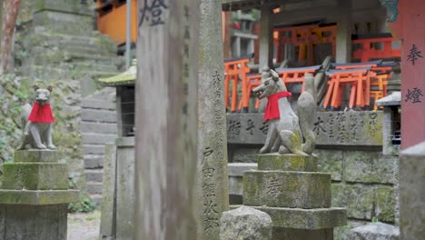 Zorros-Guardianes-En-El-Santuario-Fushimi-Inari,-Toma-De-Establecimiento-De-Pan