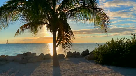 Sunset-and-a-palm-tree-at-the-sea,-sun-rays-are-passing-through-palm-tree-branch