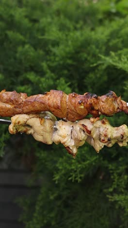 grilled chicken and pork skewers