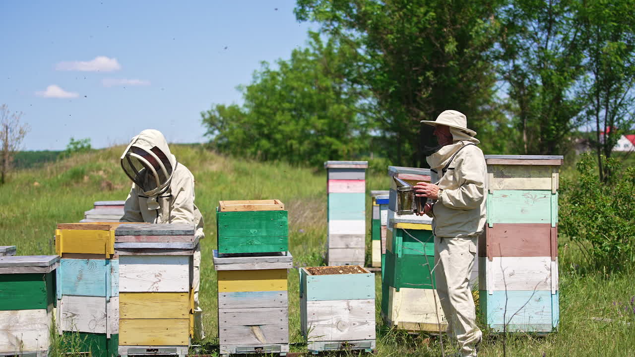 Two adult men working at the rural bee farm. Beekeepers holding metal tools in their hands. Nature backdrop.