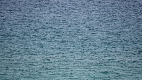 the fine pattern of shiny little waves in the contrast sunlight