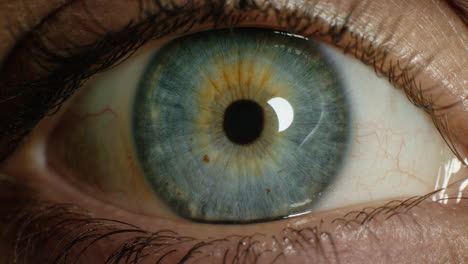 concepto de optometría del ojo azul macro que se contrae con la luz reflejada en el iris