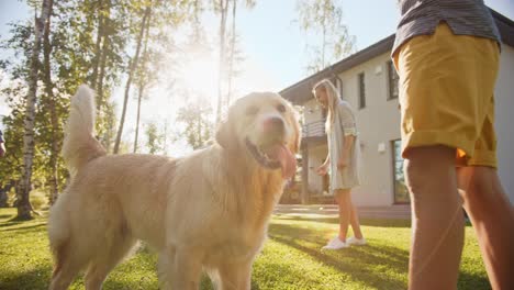 smiling beautiful family of four play catch flying disc with happy golden retriever dog on the backyard lawn. idyllic family has fun with loyal pedigree dog outdoors in summer house. slow motion shot