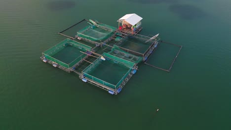 milkfish cage farming in clear green water bay aerial view in philippines