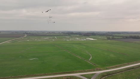 Small-flock-of-birds-flying-over-roads-and-green-fields-on-a-cold,-cloudy-winter-day,-migrating-to-warmer-places