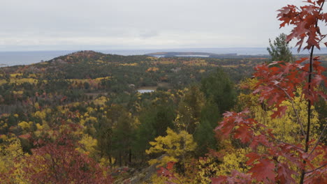 Handheld-landscape-shot-of-forests-on-the-shore-of-Lake-Superior