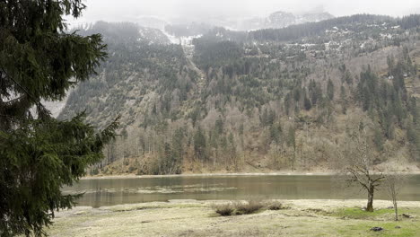 lake obersee flowing, with trees and snowy mountains