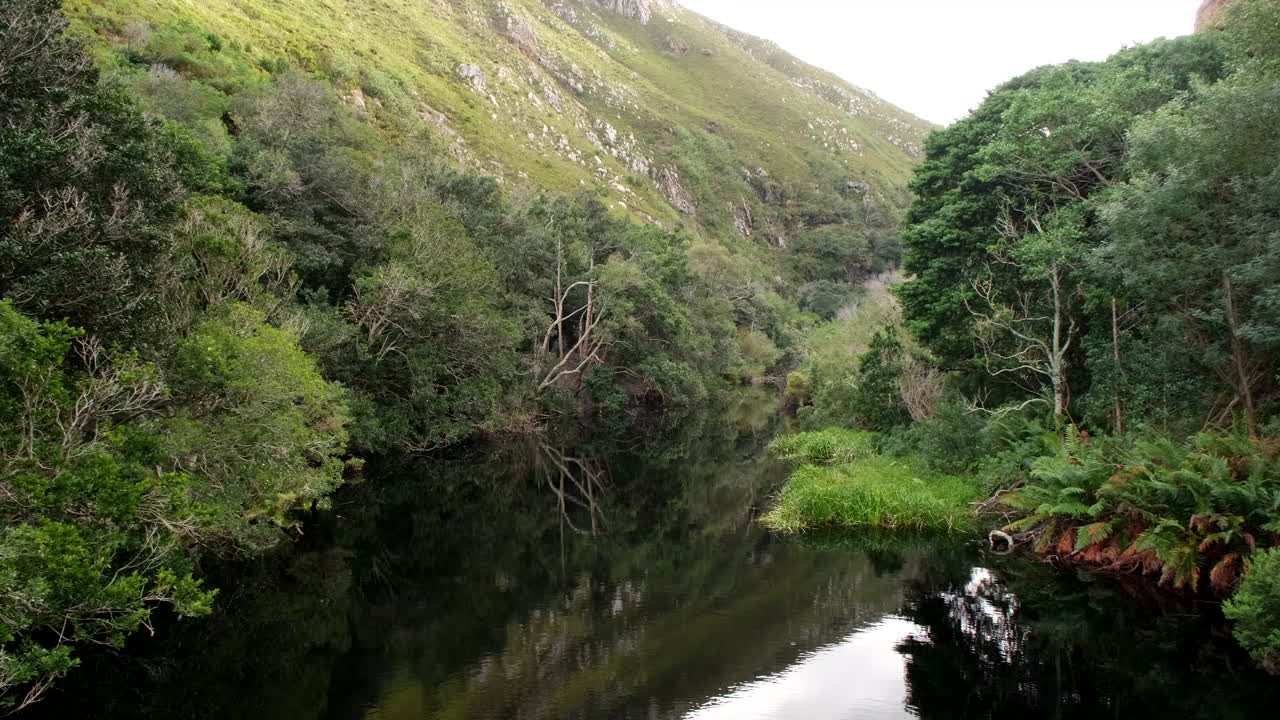 Calm nutrient rich water of Disa Kloof trail dam in valley surrounded by trees