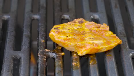 preparing fresh meat on a gas bbq grill