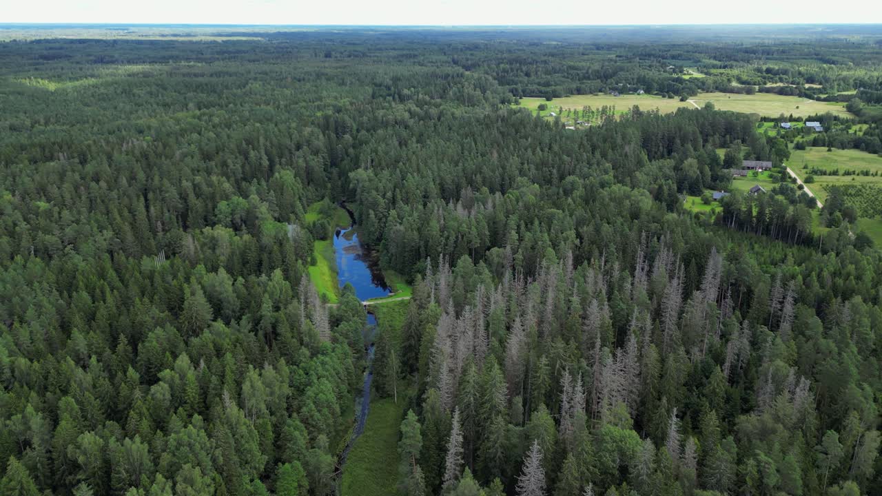 Small picturesque creek flows through boreal forest near farm houses
