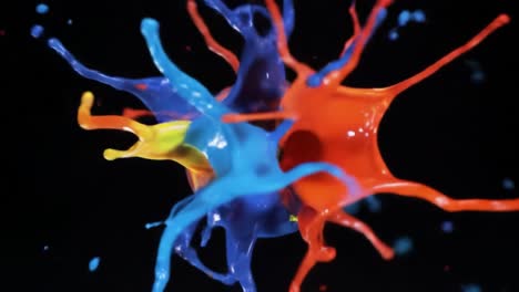 colorful paint explosions