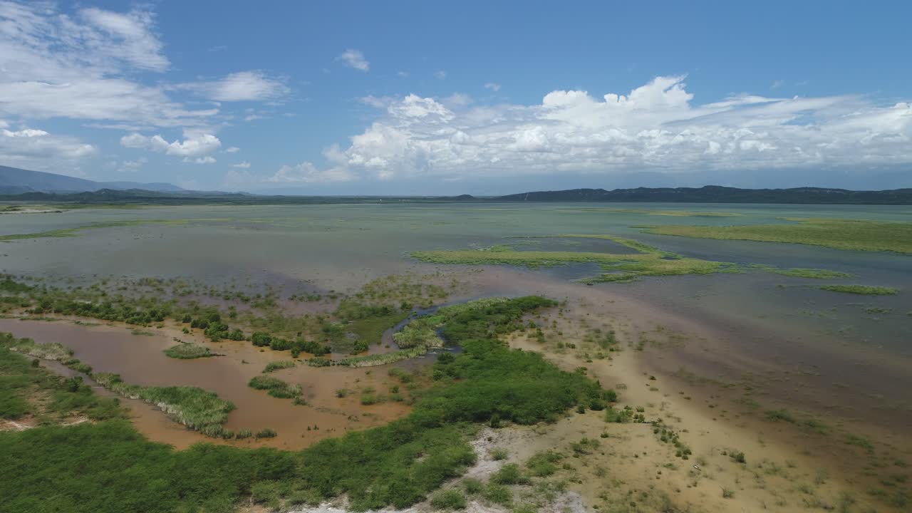 무인 항공기가 공중을 날면서 아름다운 날에 얕은 잔잔한 호수 물에서 풀이 무성한 섬이 자랍니다.