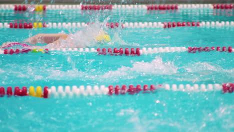 women doing front crawl stroke during swimming competition