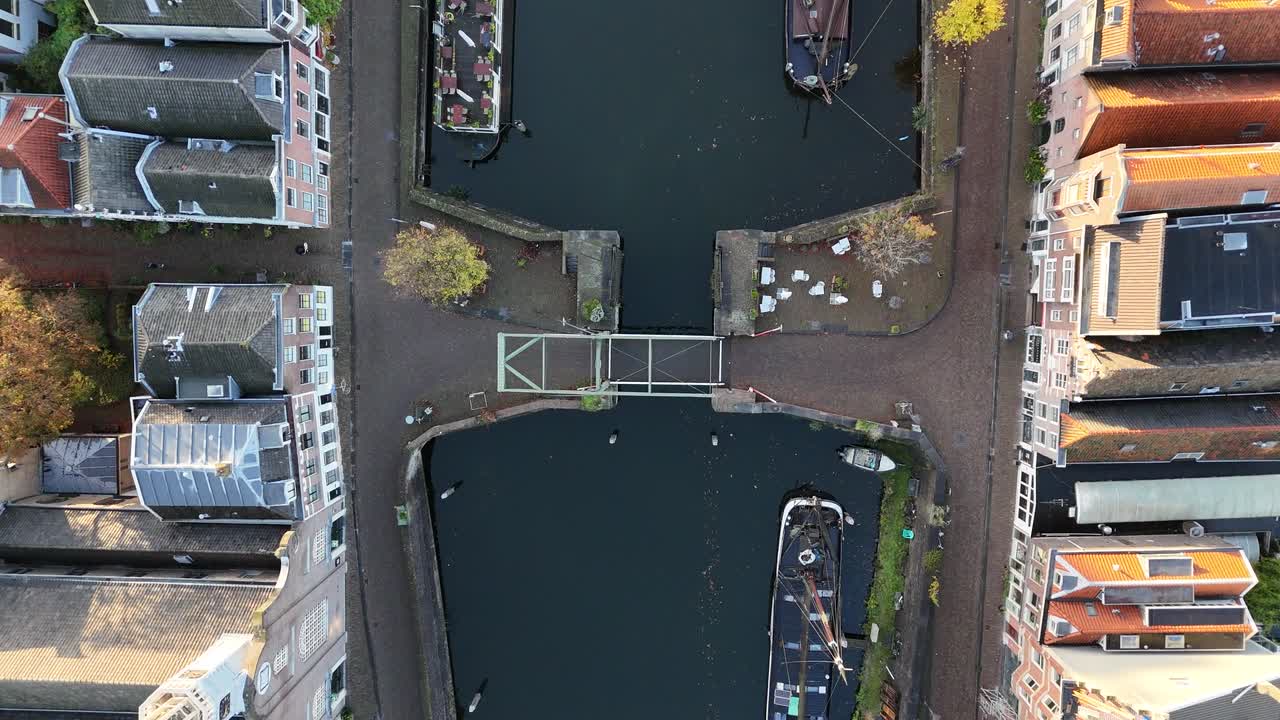 Top down aerial view of Rotterdam canal surrounded by colorful autumn trees, moored boats, and classic Dutch houses capturing beautiful blend of water, architecture, and seasonal landscape