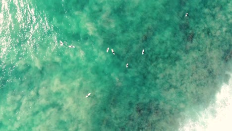 drone aerial landscape scenic view bird's-eye shot of surfers waiting in line-up crystal clear beautiful ocean old bar mid north coast taree nsw australia 4k