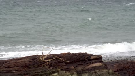 Puget-Sound-waves-during-a-winter-storm