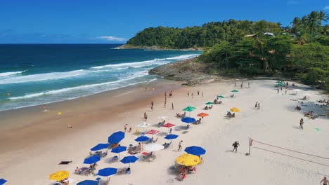aerial view of crowded tropical beach on a sunny day