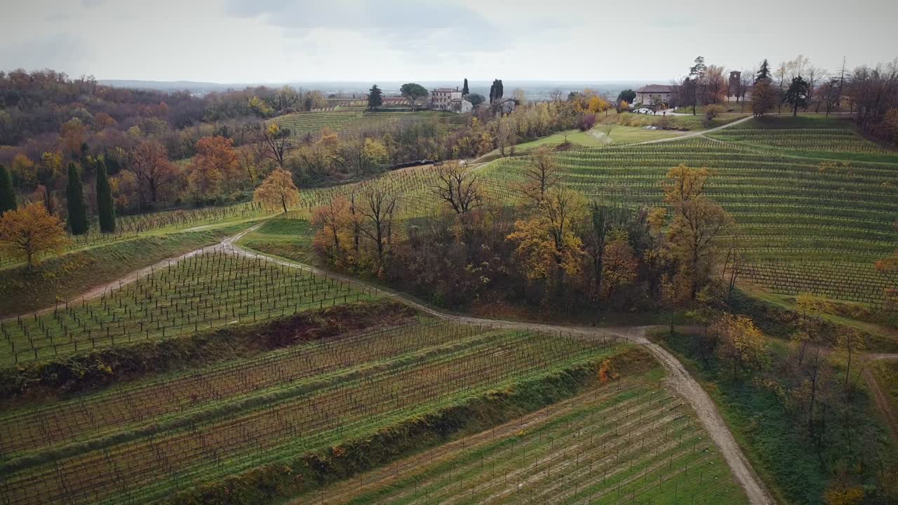 Orbit Shot Of Large Fields Of Grape Saplings In Vineyard in Autumn Season