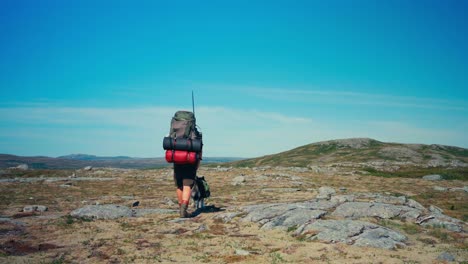 alaskan malamute dog and male hiker walking in indre fosen, norway - wide shot