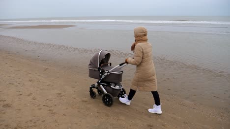 Frau-Mit-Kinderwagen,-Die-Bei-Ebbe-Am-Dunklen-Himmel-Am-Sandstrand-Am-Meer-Spaziert---Zeitlupenfahrt