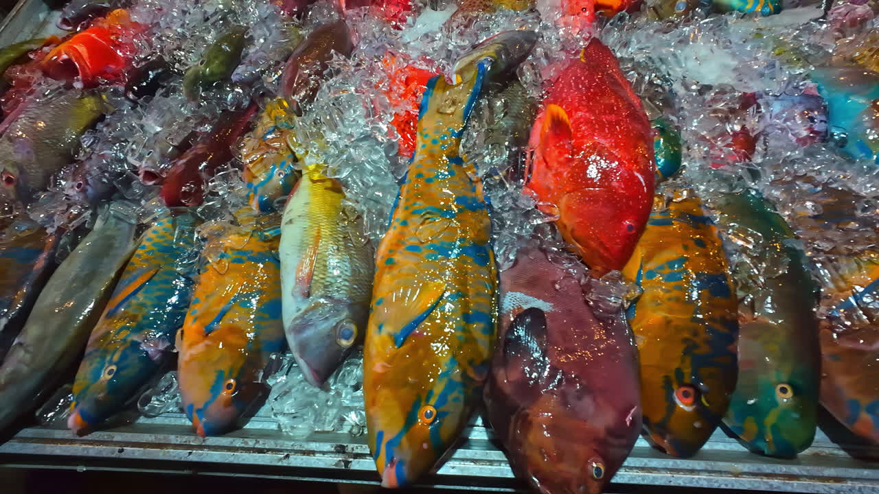 Freshly caught fish displayed on ice at a local Bali fish restaurant