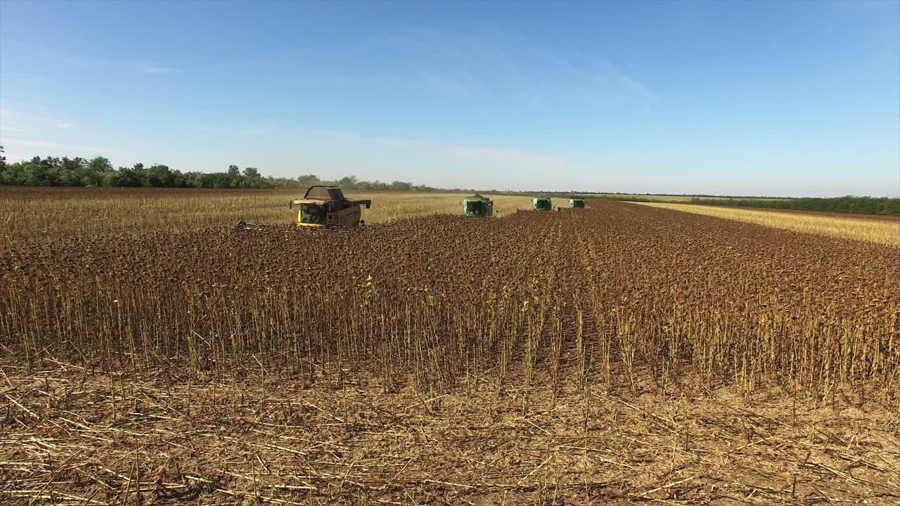Combine Harvesters Harvesting Crops in Field