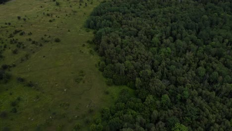 Aerial-of-green-landscape-tilting-towards-the-horizon