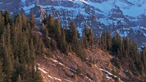 aerial view at dawn displaying the silhouette of a snow-covered mountain range