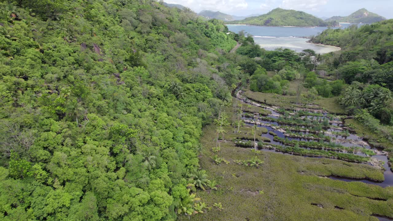Drone footage of mangrove and lush forest on hill side, Cap ternay, Mahe, Seychelles 30fp