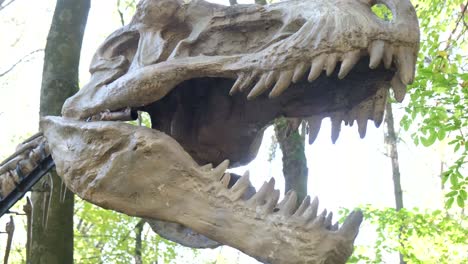 mockups of the skeleton of the head of a scary big dinosaur on the background of the forest mockups of the skeleton of the head of a scary big dinosaur on the background of the forest studying the history of dinosaurs paleontology