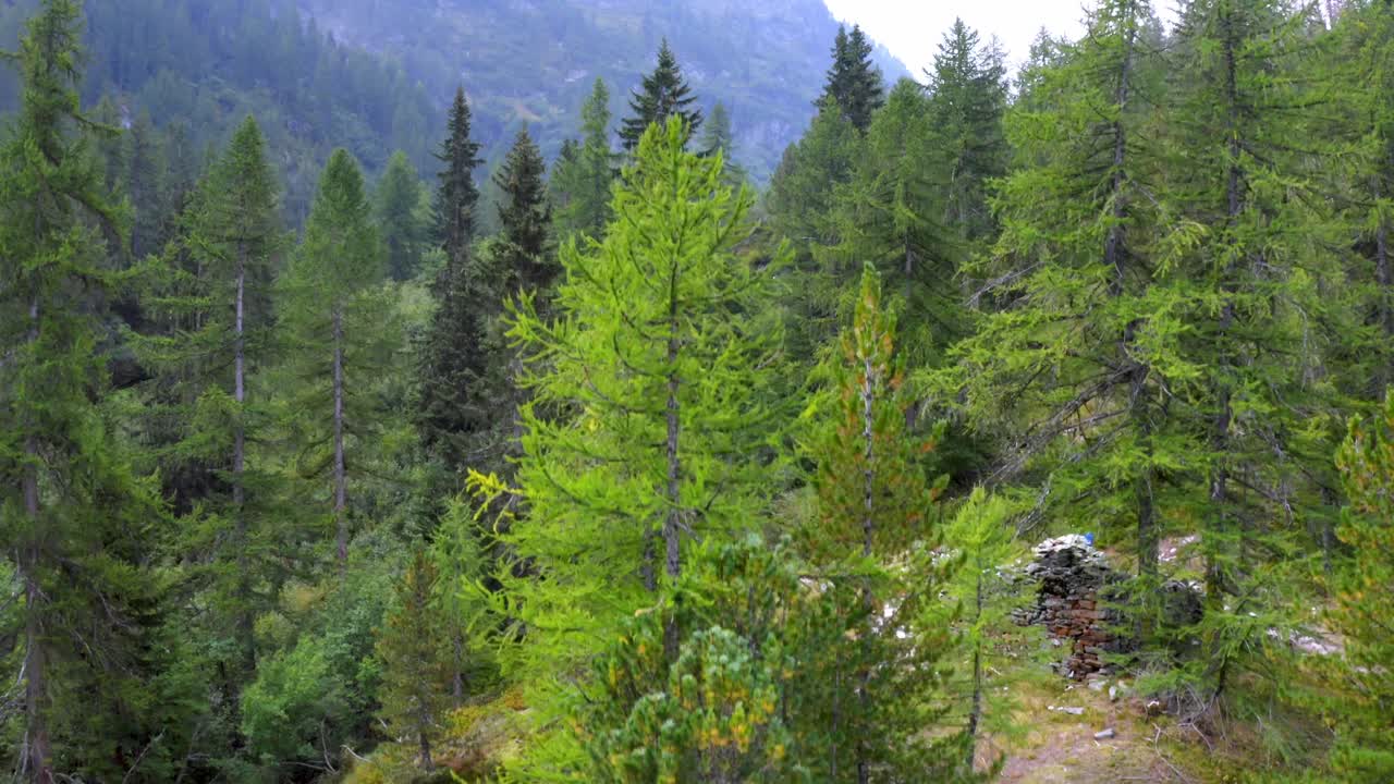 Doğanın yeşillikleri içinde bir alp patikasına doğru drone inişi.