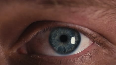 macro-close-up-shot-of-a-blue-human-eye-looking-directly-into-camera-and-blinking