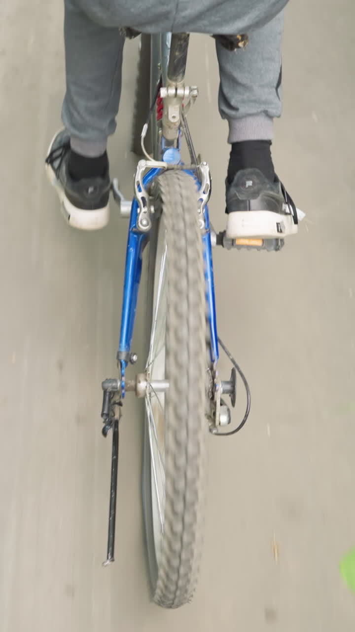 vista trasera de alguien en bicicleta a lo largo de una carretera pavimentada con marcas blancas, rodeado de exuberante vegetación a la orilla de la carretera, el ciclista pedalea, disfrutando del paseo panorámico a lo largo del camino natural