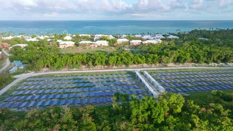 solar panels with sea in background powering hotels of punta cana, dominican republic