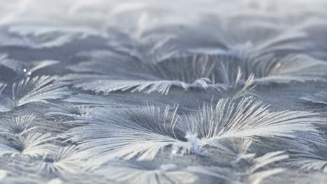 ice crystals and frost patterns