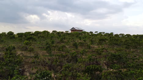 Construcción-De-Una-Casa-De-Refugio-Rural-En-La-Cima-De-Una-Colina-De-Plantaciones-De-Café-En-El-Sudeste-Asiático