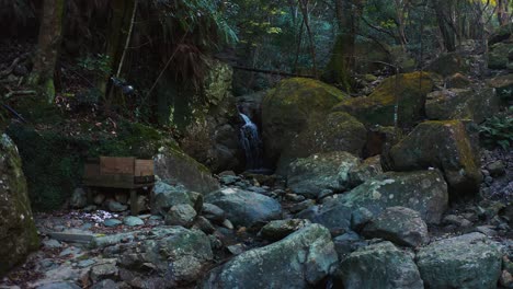 Waldbach-Im-Moosigen-Japanischen-Wald,-Vorwärtsschubaufnahme-4k