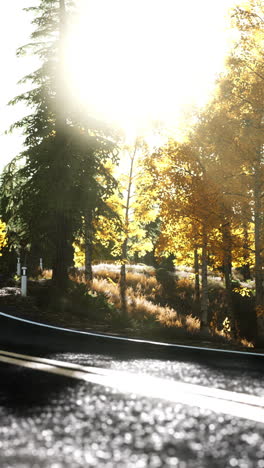 a winding road through an autumn forest