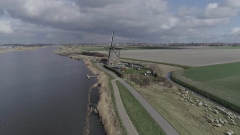 Drohnenaufnahme-Einer-Holländischen-Windmühle-Und-Eines-Bauernhofs-Mit-Schafen