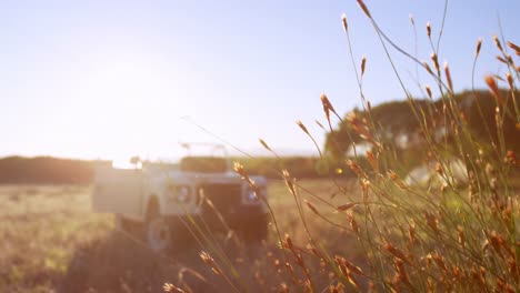 vehicle parked in landscape 4k