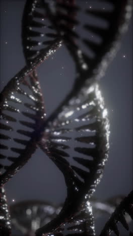 3d render of a dna double helix