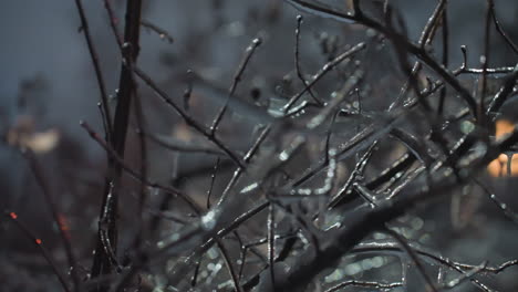 close-up of frosted bare tree branches coated with icicles and snowdrops, illuminated by soft glowing light with a blurred building in the background