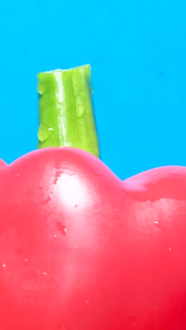 red paprika pepper on a blue background with water drops fresh vegetables cooking concept red paprika pepper on a blue background with water drops fresh vegetables cooking concept