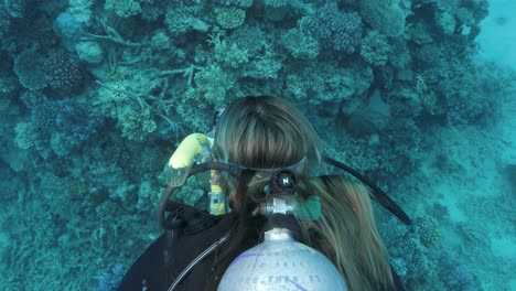 a close up underwater video looking down at a blonde hair female scuba diver swimming over a coral reef structure with bubbles floating to the surface