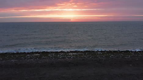 seagulls flying away at a dyke in westkapelle, during sunset