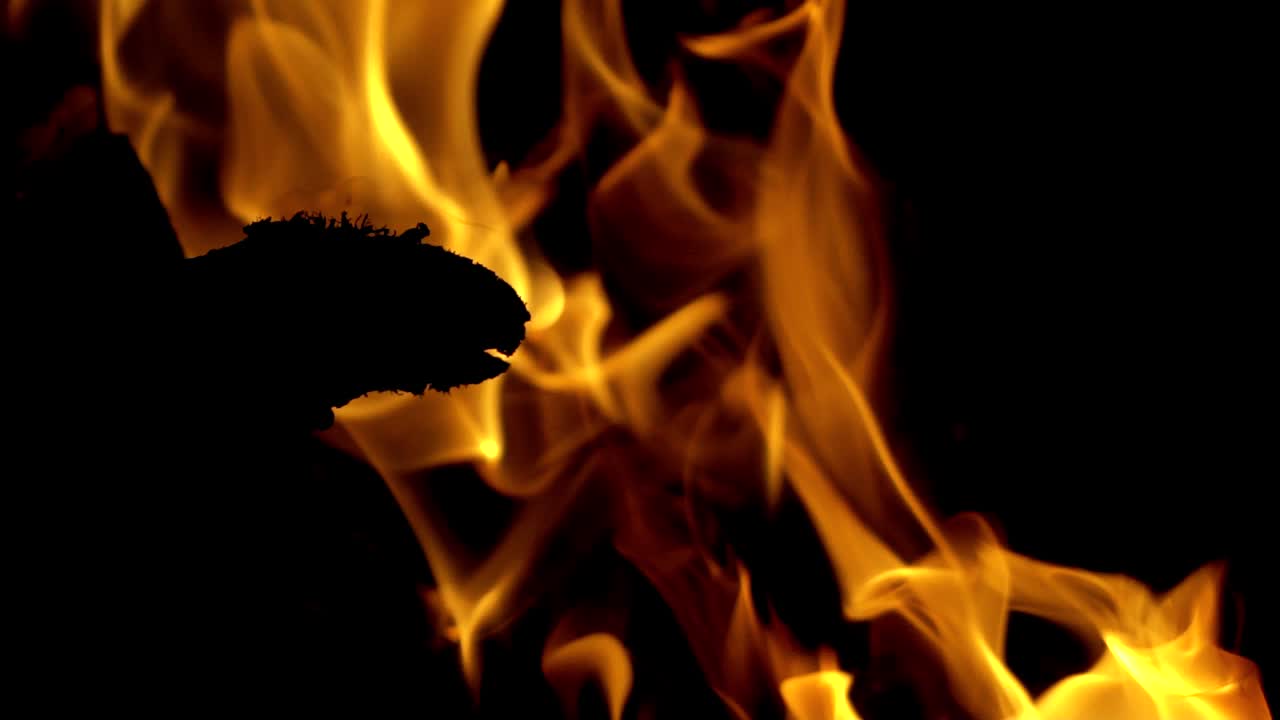 Burning Wood in Slow Motion. Bonfire. The fire is lit in the night