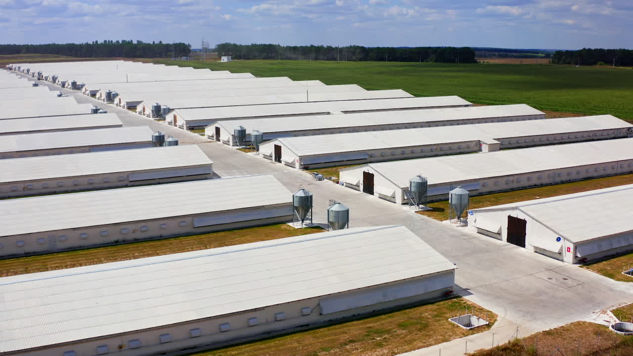 Farming facilities in rural area. Poultry farm for cattle growing. New and modern warehouses for agricultural needs.