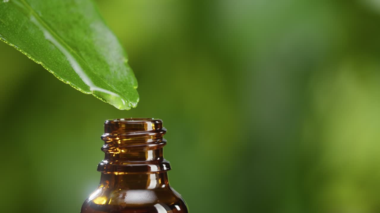 jugo goteando de la hoja en la botella de primer plano, aceite vegetal. haciendo suero de aroma en fondo verde. dejando caer extracto líquido, rutina de cuidado de la piel, aceite esencial de tratamiento, concepto de spa. medicina tradicional